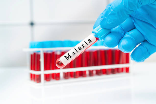 prevention du paludisme 10