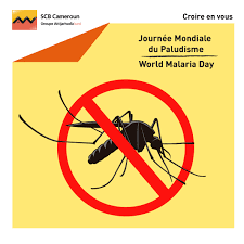 PREVENTION DU PALUDISME 06